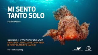 Immagine della campagna "L'ultimo pesce" per la promozione della riserva marina nel Canale di Otranto