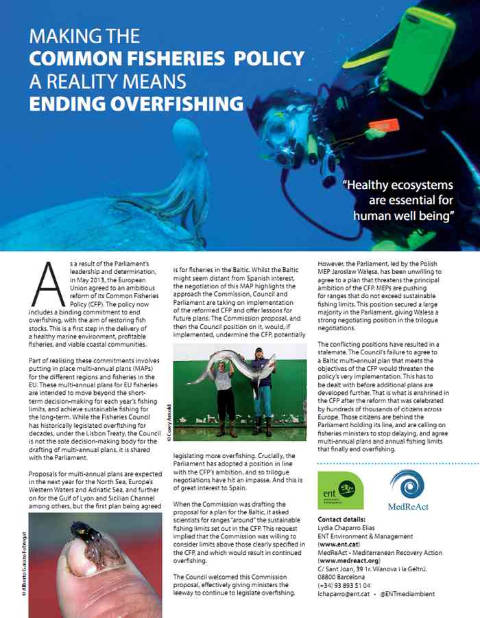 Making The Common Fisheries Policy A Reality Means Ending Overfishing ...