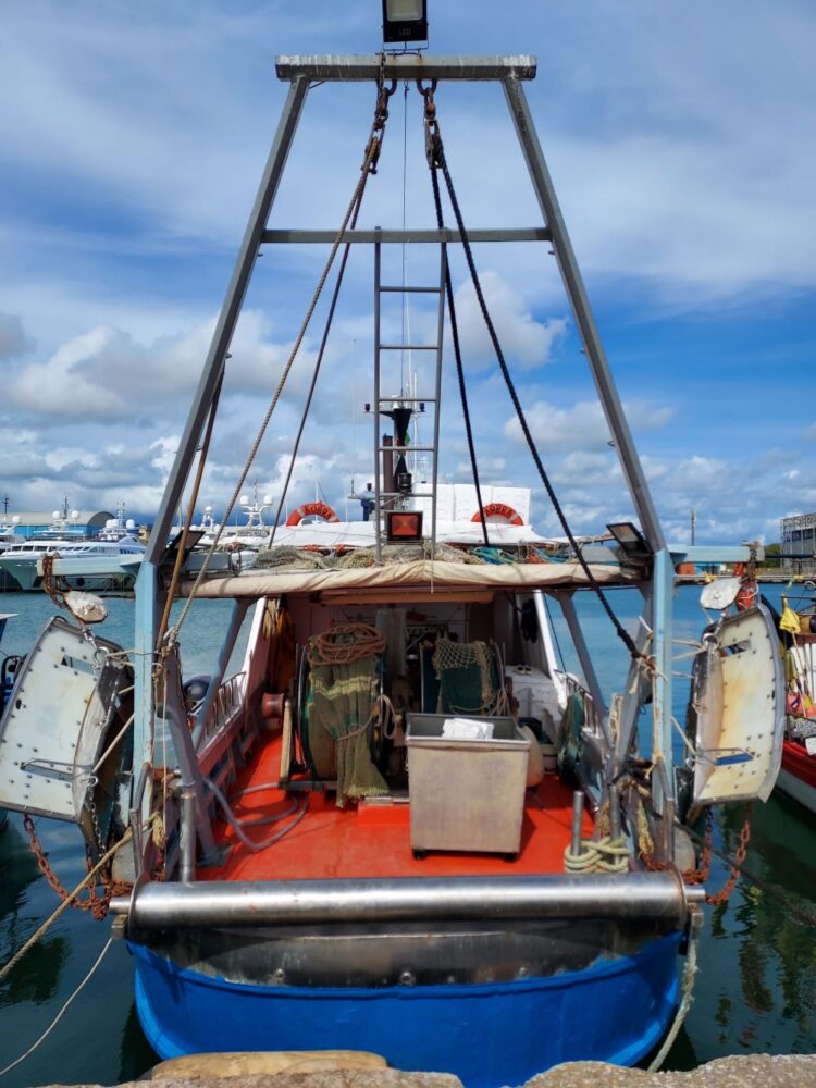 A new study underlight the hidden costs of bottom trawling in Europe
