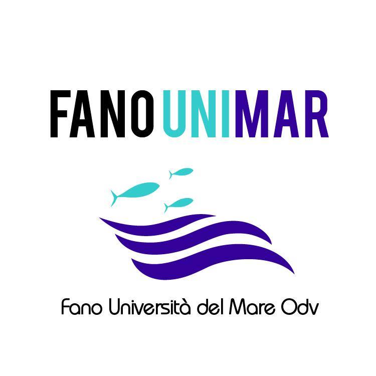 Med Action Network - Fano Università