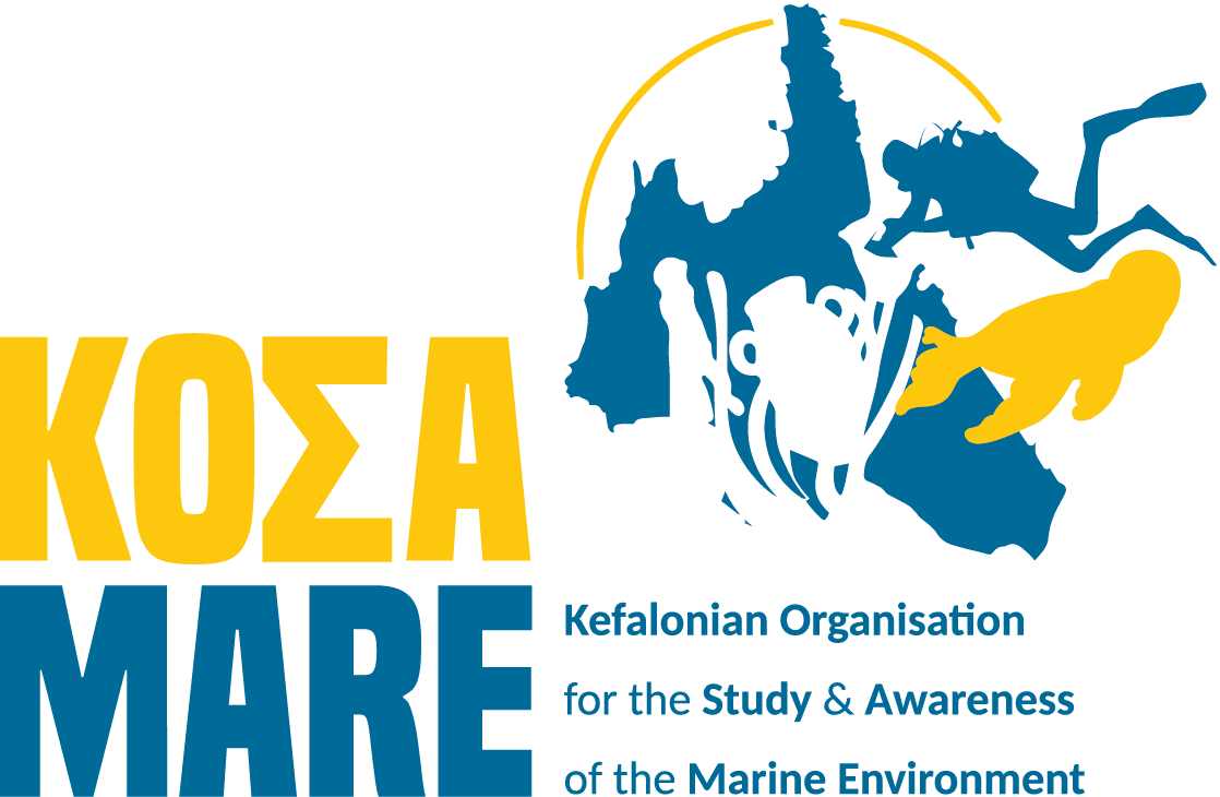 Logo kosa pas en ligne Med Action Network
