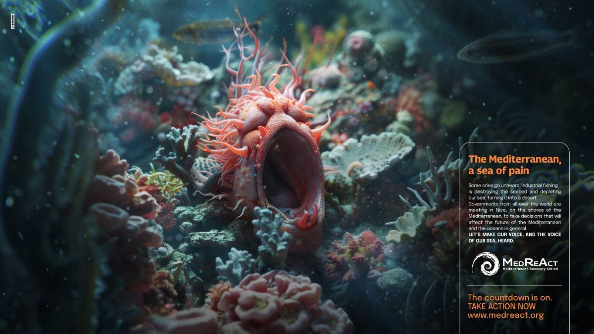 Mediterranean sea agony