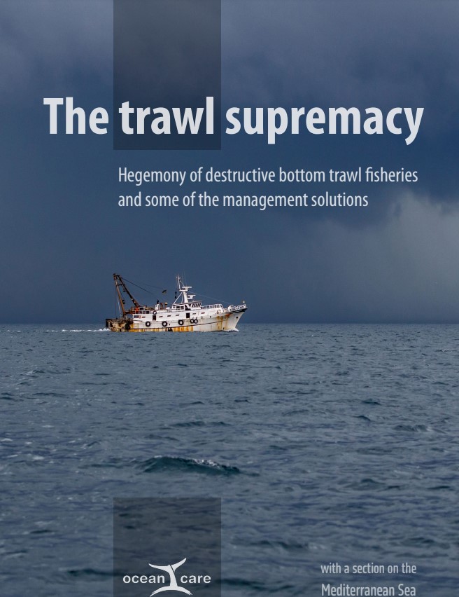 The trawl supremacy. Hegemony of destructive bottom trawl fisheries and some of the management solutions