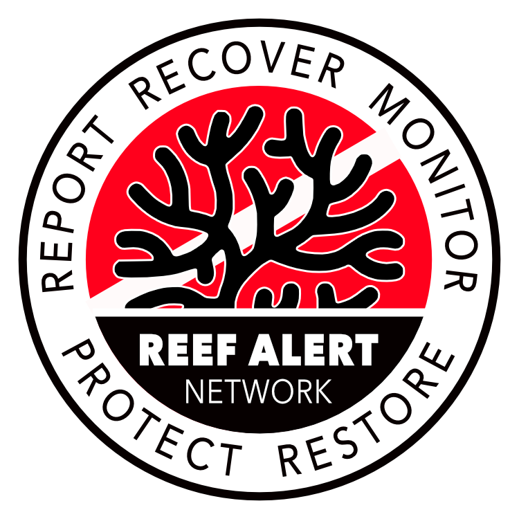 Mediterranean Action Network - Report Recover Monitor